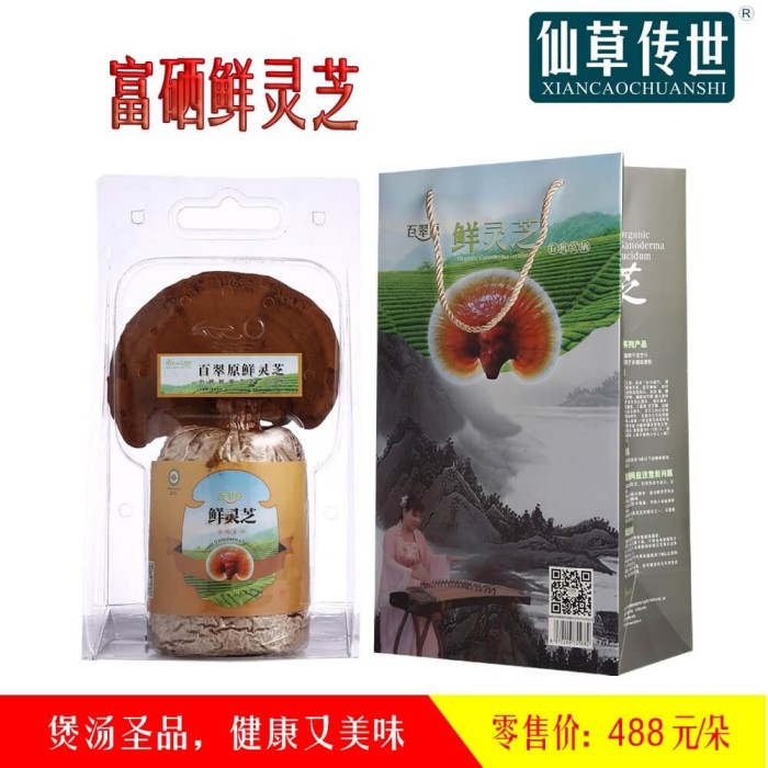 富硒鮮靈芝，給你全天候的養(yǎng)生護(hù)航！