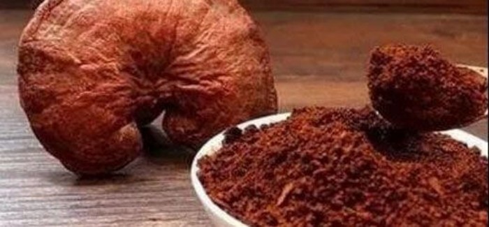 靈芝孢子油：珍稀營養(yǎng)，健康守護(hù)神